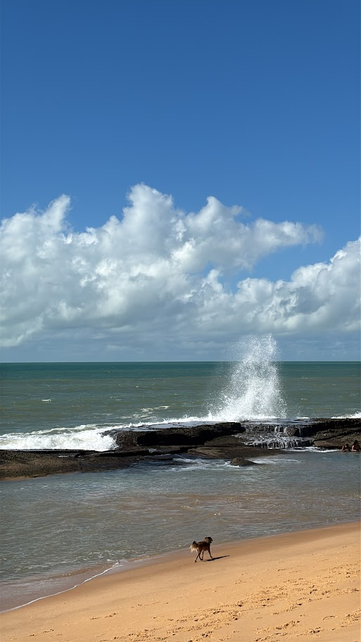 Praia do Nego